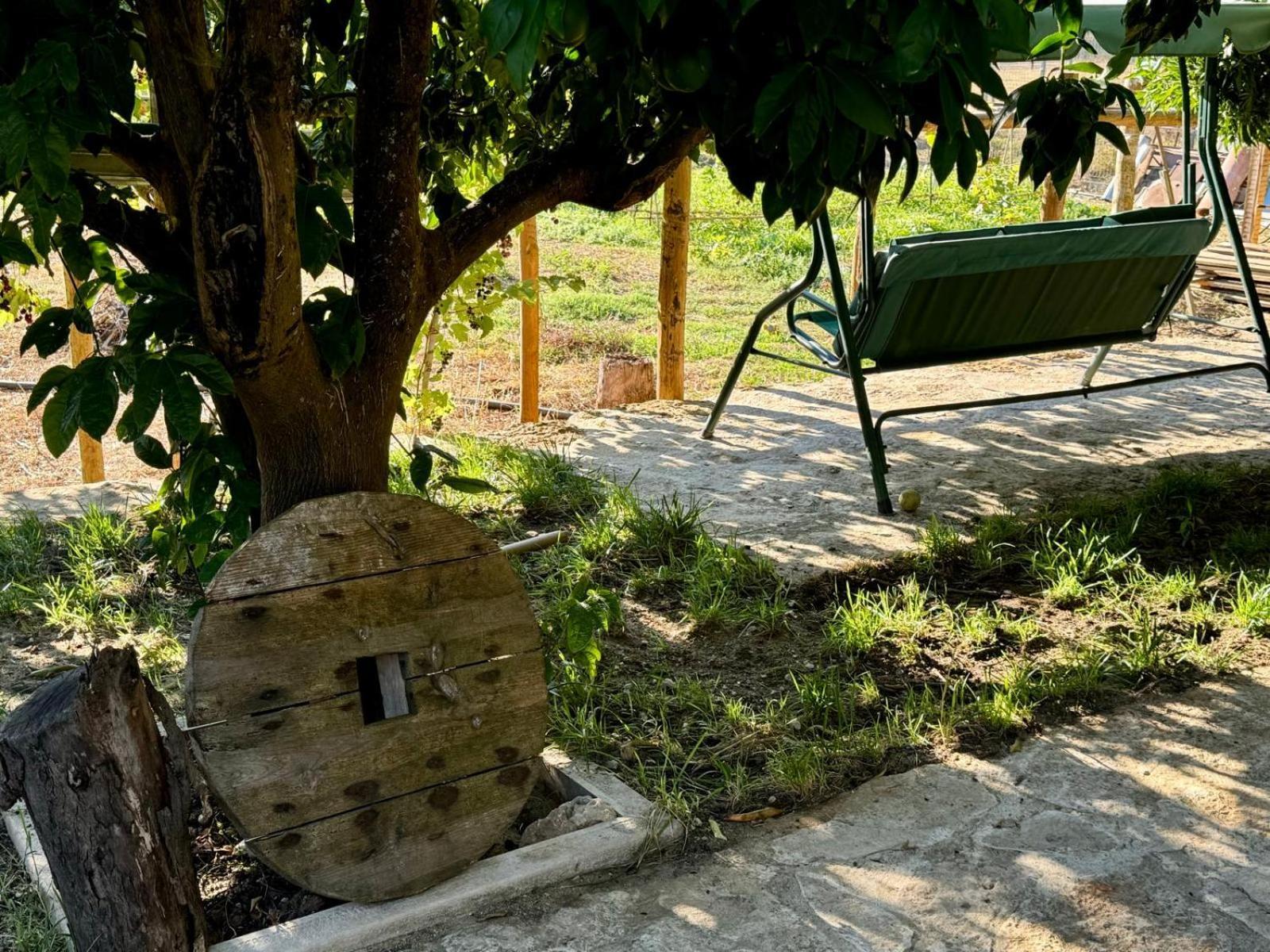 Refugio Do Prado * Tomar